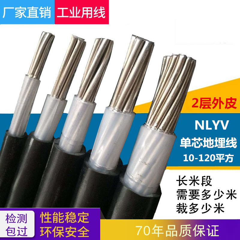 NLYV